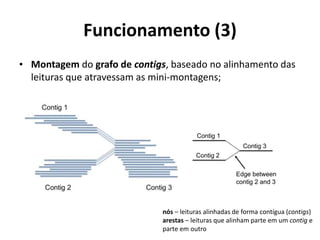 Funcionamento (3)
• Montagem do grafo de contigs, baseado no alinhamento das
leituras que atravessam as mini-montagens;
nós – leituras alinhadas de forma contígua (contigs)
arestas – leituras que alinham parte em um contig e
parte em outro
 