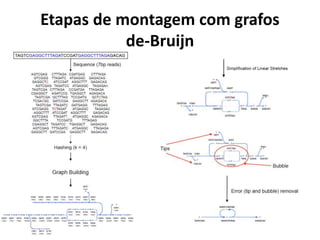 Etapas de montagem com grafos
de-Bruijn
 