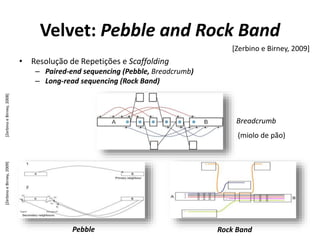 Velvet: Pebble and Rock Band
• Resolução de Repetições e Scaffolding
– Paired-end sequencing (Pebble, Breadcrumb)
– Long-read sequencing (Rock Band)
Pebble
[Zerbino e Birney, 2009]
[ZerbinoeBirney,2009]
Rock Band
Breadcrumb
[ZerbinoeBirney,2008]
(miolo de pão)
 