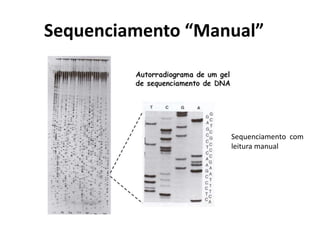 Sequenciamento “Manual”
Sequenciamento com
leitura manual
 
