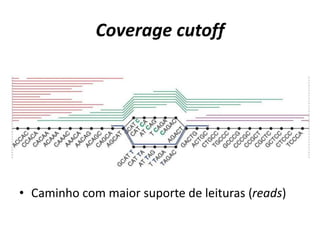 Coverage cutoff
• Caminho com maior suporte de leituras (reads)
 