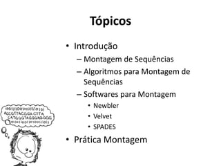 Tópicos
• Introdução
– Montagem de Sequências
– Algoritmos para Montagem de
Sequências
– Softwares para Montagem
• Newbler
• Velvet
• SPADES
• Prática Montagem
 