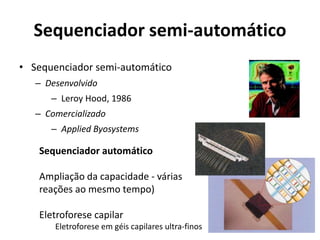 Sequenciador semi-automático
• Sequenciador semi-automático
– Desenvolvido
– Leroy Hood, 1986
– Comercializado
– Applied Byosystems
Sequenciador automático
Ampliação da capacidade - várias
reações ao mesmo tempo)
Eletroforese capilar
Eletroforese em géis capilares ultra-finos
 