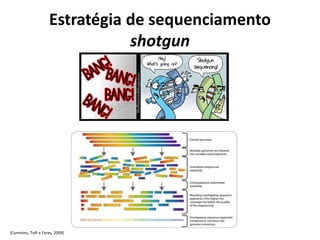 Estratégia de sequenciamento
shotgun
[Commins, Toft e Fares, 2009]
 