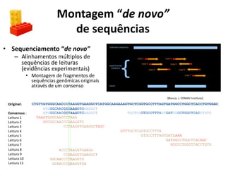 Montagem “de novo”
de sequências
• Sequenciamento “de novo”
– Alinhamentos múltiplos de
sequências de leituras
(evidências experimentais)
• Montagem de fragmentos de
sequências genômicas originais
através de um consenso
CTGTTATGGGCAACCCTAAGGTGAAGGCTCATGGCAAGAAAGTGCTCGGTGCCTTTAGTGATGGCCTGGCTCACCTGTGGAC
ATGGGCAACCCTAAGGTGAAGGCT TGCTCGGTGCCTTTAGTGATGGCCTGGCTCACCTGTG
TAAATGGGCAACCCTAAG
GCCGGCAACCCGAAGGTG
CCTAAGGTGAAGGCTAGC
GTTTGCTCGGTGCCTTTA
GTGCCTTTAGTGATGAAA
GATGGCCTGGCTCACAGC
GCCCCTGGCTCACCTGTG
Original:
Consensus :
Read 1
Read 2
Read 3
Read 4
Read 5
Read 6
Read 7
[Blanca, J. COMAV Institute]
Original:
Consensus :
Leitura 1
Leitura 2
Leitura 3
Leitura 4
Leitura 5
Leitura 6
Leitura 7
Leitura 8
Leitura 9
Leitura 10
Leitura 11
ACCCTAAGGTGAAGG
CCGAAGGTGAAGGCT
GGCAACCCTAAGGTG
GCAACCCGAAGGTGA
ATGGGCAACCCGAAGGTGAAGGCT
 