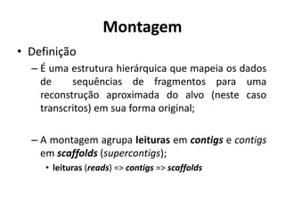 Montagem
• Definição
– É uma estrutura hierárquica que mapeia os dados
de sequências de fragmentos para uma
reconstrução aproximada do alvo (neste caso
transcritos) em sua forma original;
– A montagem agrupa leituras em contigs e contigs
em scaffolds (supercontigs);
• leituras (reads) => contigs => scaffolds
 