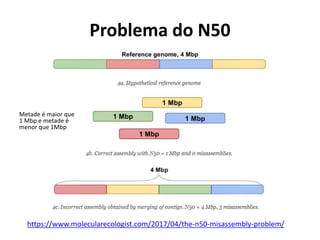 Problema do N50
https://www.molecularecologist.com/2017/04/the-n50-misassembly-problem/
Metade é maior que
1 Mbp e metade é
menor que 1Mbp
 