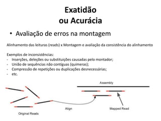 Exatidão
ou Acurácia
• Avaliação de erros na montagem
Alinhamento das leituras (reads) x Montagem e avaliação da consistência do alinhamento
Exemplos de inconsistências:
- Inserções, deleções ou substituições causadas pelo montador;
- União de sequências não contíguas (quimeras);
- Compressão de repetições ou duplicações desnecessárias;
- etc.
 