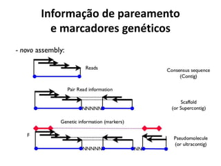 Informação de pareamento
e marcadores genéticos
 