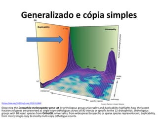 Generalizado e cópia simples
Dissecting the Drosophila melanogaster gene set by orthologous group universality and duplicability highlights how the largest
fractions of genes are preserved as single-copy orthologues across all 80 insects or specific to the 12 drosophilids. Orthologous
groups with 80 insect species from OrthoDB: universality, from widespread to specific or sparse species representation; duplicability,
from mostly single-copy to mostly multi-copy orthologue counts.
[https://doi.org/10.1016/j.cois.2015.01.004]
 