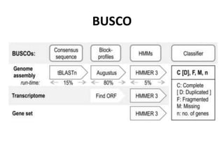 BUSCO
 