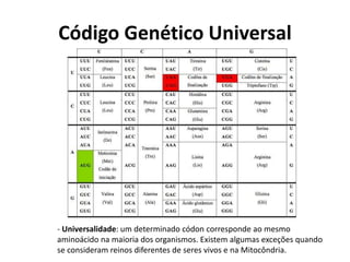 Código Genético Universal
- Universalidade: um determinado códon corresponde ao mesmo
aminoácido na maioria dos organismos. Existem algumas exceções quando
se consideram reinos diferentes de seres vivos e na Mitocôndria.
 