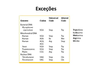 Exceções
Triptofano
Isoleucina
Metionina
Arginina
Glicina
 