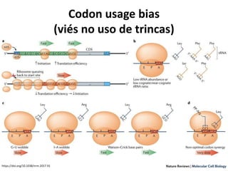 Codon usage bias
(viés no uso de trincas)
https://doi.org/10.1038/nrm.2017.91
 
