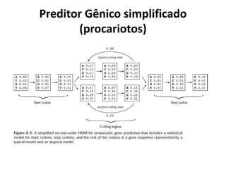 Preditor Gênico simplificado
(procariotos)
 