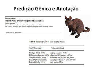 Predição Gênica e Anotação
 