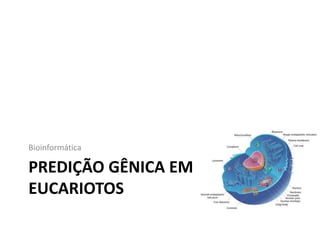 PREDIÇÃO GÊNICA EM
EUCARIOTOS
Bioinformática
 