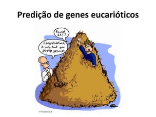 Predição de genes eucarióticos
 