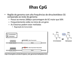 Ilhas CpG
• Região do genoma com alta frequências de dinucleotídeos CG
comparada ao resto do genoma
– Possui ao menos 200bp e porcentagem de GC maior que 50%
– Frequentemente estão no início de um gene
– As Citosinas podem estar metiladas
• Regulação da transcrição
 