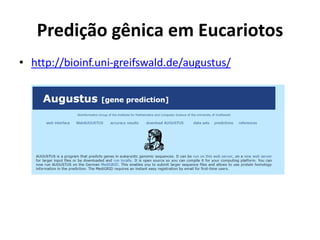 Predição gênica em Eucariotos
• http://bioinf.uni-greifswald.de/augustus/
 