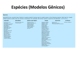Espécies (Modelos Gênicos)
 