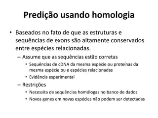 Predição usando homologia
• Baseados no fato de que as estruturas e
sequências de exons são altamente conservados
entre espécies relacionadas.
– Assume que as sequências estão corretas
• Sequências de cDNA da mesma espécie ou proteínas da
mesma espécie ou e espécies relacionadas
• Evidência experimental
– Restrições
• Necessita de sequências homólogas no banco de dados
• Novos genes em novas espécies não podem ser detectadas
 