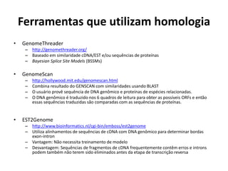 Ferramentas que utilizam homologia
• GenomeThreader
– http://genomethreader.org/
– Baseado em similaridade cDNA/EST e/ou sequências de proteínas
– Bayesian Splice Site Models (BSSMs)
• GenomeScan
– http://hollywood.mit.edu/genomescan.html
– Combina resultado do GENSCAN com similaridades usando BLAST
– O usuário provê sequência de DNA genômico e proteínas de espécies relacionadas.
– O DNA genômico é traduzido nos 6 quadros de leitura para obter as possíveis ORFs e então
essas sequências traduzidas são comparadas com as sequências de proteínas.
• EST2Genome
– http://www.bioinformatics.nl/cgi-bin/emboss/est2genome
– Utiliza alinhamentos de sequências de cDNA com DNA genômico para determinar bordas
exon-intron
– Vantagem: Não necessita treinamento de modelo
– Desvantagem: Sequências de fragmentos de cDNA frequentemente contêm erros e introns
podem também não terem sido eliminados antes da etapa de transcrição reversa
 