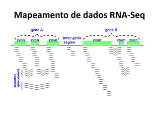 Mapeamento de dados RNA-Seq
 