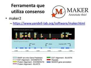 Ferramenta que
utiliza consenso
• maker2
– https://www.yandell-lab.org/software/maker.html
 