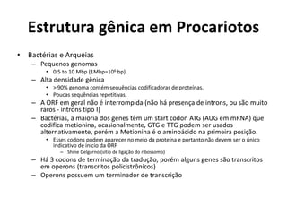 Estrutura gênica em Procariotos
• Bactérias e Arqueias
– Pequenos genomas
• 0,5 to 10 Mbp (1Mbp=106 bp).
– Alta densidade gênica
• > 90% genoma contém sequências codificadoras de proteínas.
• Poucas sequências repetitivas;
– A ORF em geral não é interrompida (não há presença de introns, ou são muito
raros - introns tipo I)
– Bactérias, a maioria dos genes têm um start codon ATG (AUG em mRNA) que
codifica metionina, ocasionalmente, GTG e TTG podem ser usados
alternativamente, porém a Metionina é o aminoácido na primeira posição.
• Esses codons podem aparecer no meio da proteína e portanto não devem ser o único
indicativo de início da ORF
– Shine Delgarno (sítio de ligação do ribossomo)
– Há 3 codons de terminação da tradução, porém alguns genes são transcritos
em operons (transcritos policistrônicos)
– Operons possuem um terminador de transcrição
 