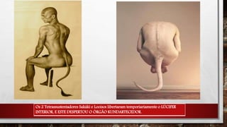 Os 2 Tetrassustentadores Sakáki e Looisos libertaram temporiariamente o LÚCIFER
INTERIOR, E ESTE DESPERTOU O ÓRGÃO KUNDARTECEDOR.
 