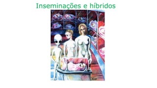 Inseminações e híbridos
 