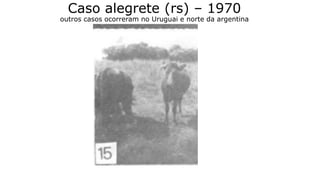 Caso alegrete (rs) – 1970
outros casos ocorreram no Uruguai e norte da argentina
 