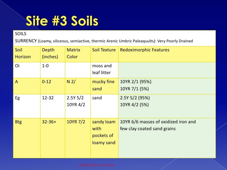 Florida Soils Presentation