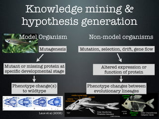 Knowledge mining &
        hypothesis generation
      Model Organism                                             Non-mode...