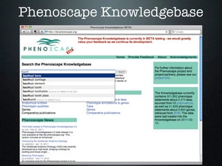 Phenoscape Knowledgebase
 