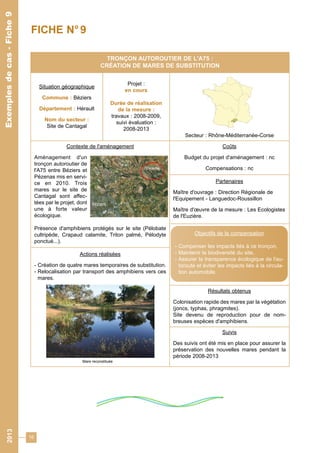 16 
2013 Exemples de cas - Fiche 9 
Exemples de cas - Fiche 9 
FICHE N° 9 
TRONÇON AUTOROUTIER DE L'A75 : 
CRÉATION DE MARES DE SUBSTITUTION 
Situation géographique 
Commune : Béziers 
Département : Hérault 
Nom du secteur : 
Site de Cantagal 
Projet : 
en cours 
Durée de réalisation 
de la mesure : 
travaux : 2008-2009, 
suivi évaluation : 
2008-2013 
Secteur : Rhône-Méditerranée-Corse 
Contexte de l'aménagement 
Aménagement d'un 
tronçon autoroutier de 
l'A75 entre Béziers et 
Pézenas mis en servi-ce 
en 2010. Trois 
mares sur le site de 
Cantagal sont affec-tées 
par le projet, dont 
une à forte valeur 
écologique. 
Présence d'amphibiens protégés sur le site (Pélobate 
cultripède, Crapaud calamite, Triton palmé, Pélodyte 
ponctué...). 
Actions réalisées 
- Création de quatre mares temporaires de substitution. 
- Relocalisation par transport des amphibiens vers ces 
mares. 
Coûts 
Budget du projet d'aménagement : nc 
Compensations : nc 
Partenaires 
Maître d'ouvrage : Direction Régionale de 
l'Equipement - Languedoc-Roussillon 
Maître d'oeuvre de la mesure : Les Ecologistes 
de l'Euzière. 
Objectifs de la compensation 
- Compenser les impacts liés à ce tronçon, 
- Maintenir la biodiversité du site, 
- Assurer la transparence écologique de l'au-toroute 
et éviter les impacts liés à la circula-tion 
automobile. 
Résultats obtenus 
Colonisation rapide des mares par la végétation 
(joncs, typhas, phragmites). 
Site devenu de reproduction pour de nom-breuses 
espèces d'amphibiens. 
Suivis 
Des suivis ont été mis en place pour assurer la 
préservation des nouvelles mares pendant la 
période 2008-2013 
Mare reconstituée 
 