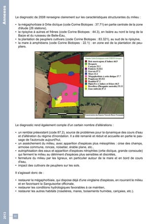 Le diagnostic de 2008 renseigne clairement sur les caractéristiques structurantes du milieu : 
• la mégaphorbiaie à Ortie dioïque (code Corine Biotopes : 37.71) en partie centrale de la zone 
d'étude (26 stations), 
• la ripisylve à aulnes et frênes (code Corine Biotopes : 44.3), en lisière au nord le long de la 
Baize et du ruisseau de Belle-Eau, 
• la plantation de peupliers cultivars (code Corine Biotopes : 83.321), au sud de la ripisylve, 
• la mare à amphibiens (code Corine Biotopes : 22.1) : en zone est de la plantation de peu-pliers. 
Le diagnostic rend également compte d'un certain nombre d'altérations : 
• un remblai préexistant (code 87.2), source de problèmes pour la dynamique des cours d'eau 
et d'altération du régime d'inondation. Il a été remanié et réduit et accueille en partie le pas-sage 
62 
de l'autoroute aujourd'hui, 
• un assèchement du milieu, avec apparition d'espèces plus mésophiles : cirse des champs, 
armoise commune, ronces, noisetier, érable plane, etc., 
• eutrophisation des eaux et apparition d'espèces nitrophiles (ortie dioïque, grande consoude) 
qui ferment le milieu au détriment d'espèces plus sensibles et discrètes, 
• fermeture du milieu par les ligneux, en particulier autour de la mare et en bord de cours 
d'eau, 
• impact des cultivars de peupliers sur les sols. 
Il s'agissait donc de : 
• restaurer la mégaphorbiaie, qui dispose déjà d'une vingtaine d'espèces, en rouvrant le milieu 
et en favorisant la Sanguisorbe officinale, 
• restaurer les conditions hydrologiques favorables à ce maintien, 
• restaurer les autres habitats (roselières, mares, boisements humides, cariçaies, etc.). 
2013 Annexes 
 