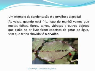Um exemplo de condensação é o orvalho e a geada!
Às vezes, quando está frio, logo de manhã vemos que
muitas folhas, flores, carros, vidraças e outros objetos
que estão no ar livre ficam cobertos de gotas de água,
sem que tenha chovido: é o orvalho.




             EAD / UFVJM - Licenciatura em Química
 
