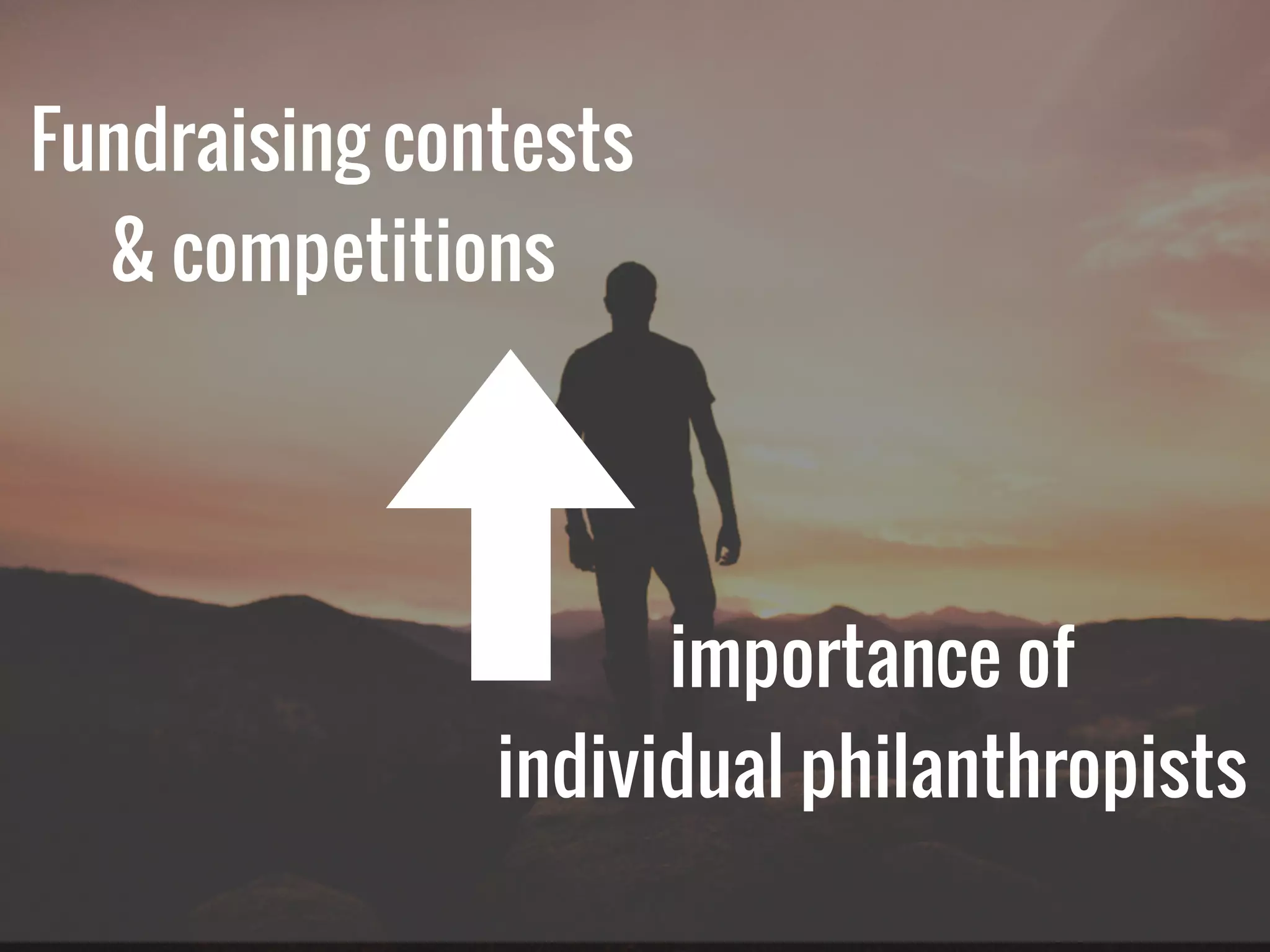 Fundraising contests
& competitions
importance of
individual philanthropists
 
