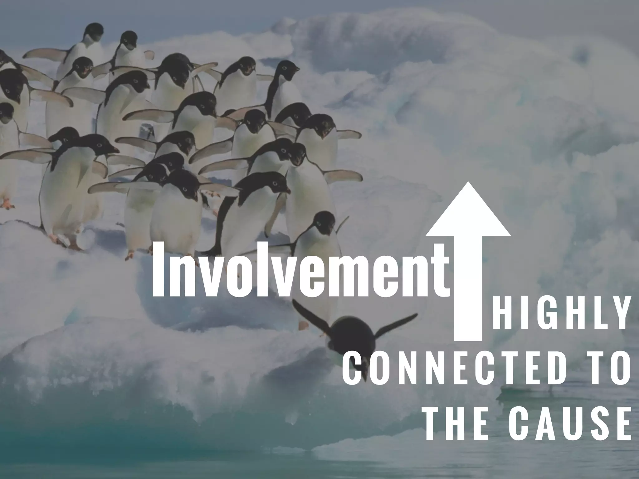 H I G H LY
C O N N E C T E D T O
T H E C A U S E
Involvement
 