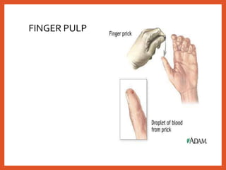 Finger Rip Pulp Blood collection and anticoagulants | PPTX