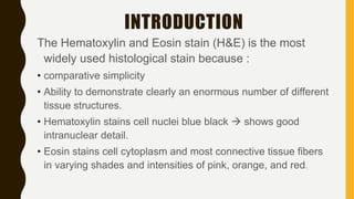 The Hematoxylin and Eosin stain (H&E) is the most
widely used histological stain because :
• comparative simplicity
• Ability to demonstrate clearly an enormous number of different
tissue structures.
• Hematoxylin stains cell nuclei blue black  shows good
intranuclear detail.
• Eosin stains cell cytoplasm and most connective tissue fibers
in varying shades and intensities of pink, orange, and red.
INTRODUCTION
 