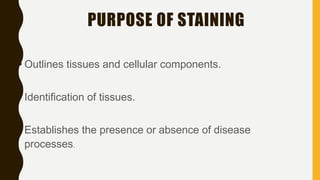 • Outlines tissues and cellular components.
• Identification of tissues.
• Establishes the presence or absence of disease
processes.
PURPOSE OF STAINING
 