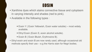 • Xanthine dyes which stains connective tissue and cytoplasm
in varying intensity and shades (red to pink).
• Available in the following types :
 Eosin Y ( Eosin Yellowish, Eosin water soluble) – most widely
available.
 Ethyl Eosin (Eosin S, eosin alcohol soluble).
 Eosin B ( Eosin Bluish, Erythrosine B).
• Ethyl eosin and eosin B are now rarely used, although occasional old
methods specify their use – e.g the Harris stain for Negri bodies.
EOSIN
 