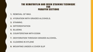 1. REMOVAL OF WAX.
2. HYDRATION WITH GRADED ALCOHOLS.
3. STAINING.
4. DIFFERENTIATION
5. BLUEING
6. COUNTERSTAIN WITH EOSIN
7. DEHYDRATION THROUGH GRADED ALCOHOL.
8. CLEARING IN XYLENE
9. MOUNTING UNDER A COVER SLIP
THE HEMATOXYLIN AND EOSIN STAINING TECHNIQUE
FOR
PARAFFIN SECTIONS
 