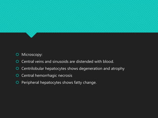  Microscopy:
 Central veins and sinusoids are distended with blood.
 Centrilobular hepatocytes shows degeneration and atrophy
 Central hemorrhagic necrosis
 Peripheral hepatocytes shows fatty change.
 