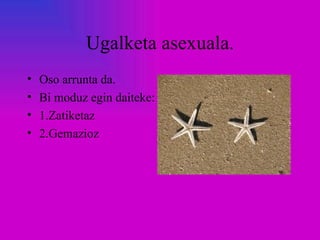 Ugalketa asexuala.
•   Oso arrunta da.
•   Bi moduz egin daiteke:
•   1.Zatiketaz
•   2.Gemazioz
 