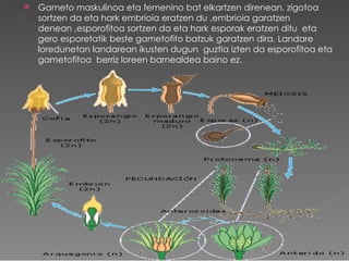    Gameto maskulinoa eta femenino bat elkartzen direnean, zigotoa
    sortzen da eta hark embrioia eratzen du ,embrioia garatzen
    denean ,esporofitoa sortzen da eta hark esporak eratzen ditu eta
    gero esporetatik beste gametofito batzuk garatzen dira. Landare
    loredunetan landarean ikusten dugun guztia izten da esporofitoa eta
    gametofitoa berriz loreen barnealdea baino ez.
 