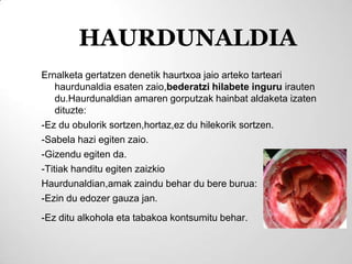 HAURDUNALDIA
Ernalketa gertatzen denetik haurtxoa jaio arteko tarteari
    haurdunaldia esaten zaio,bederatzi hilabete inguru irauten
    du.Haurdunaldian amaren gorputzak hainbat aldaketa izaten
    dituzte:
-Ez du obulorik sortzen,hortaz,ez du hilekorik sortzen.
-Sabela hazi egiten zaio.
-Gizendu egiten da.
-Titiak handitu egiten zaizkio
Haurdunaldian,amak zaindu behar du bere burua:
-Ezin du edozer gauza jan.
-Ez ditu alkohola eta tabakoa kontsumitu behar.
 